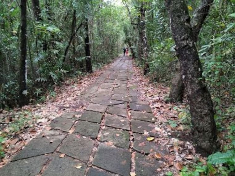 Kumarakom Bird Sanctuary-1